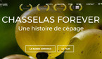 Chasselas forever (ouverture dans une nouvelle fenêtre)