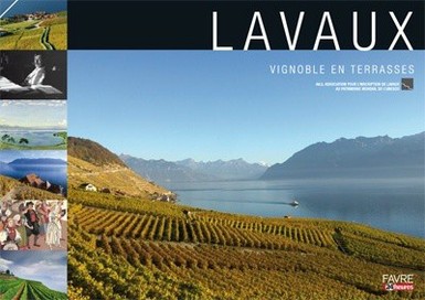 Lavaux, Vignoble en terrasse