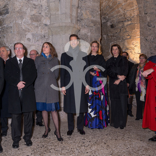 Description de l'image