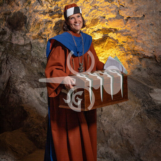 Description de l'image