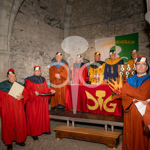 Description de l'image