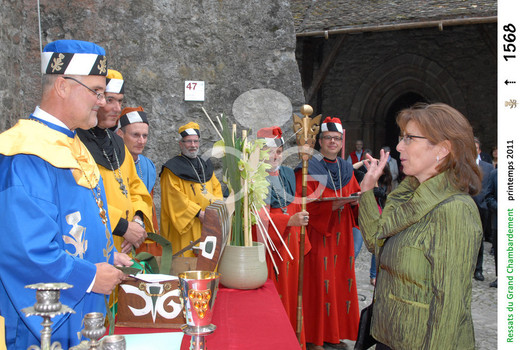 Description de l'image