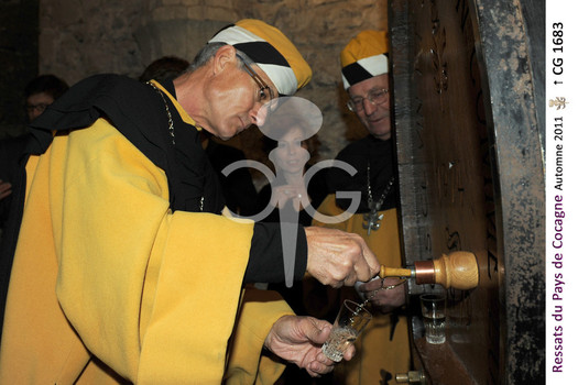 Description de l'image