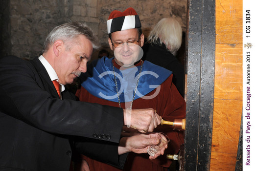 Description de l'image