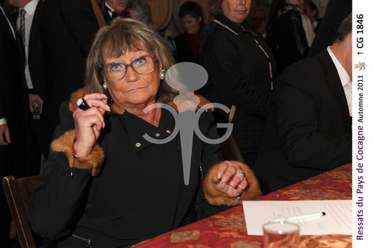 Description de l'image