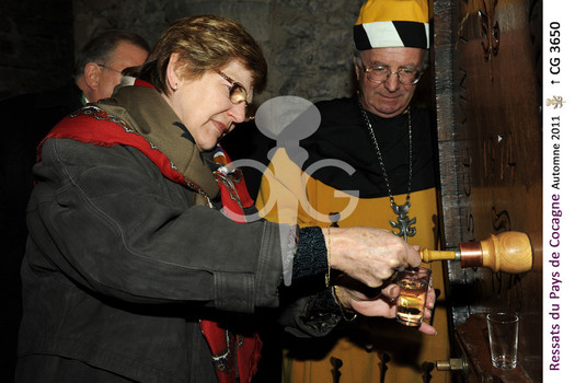 Description de l'image