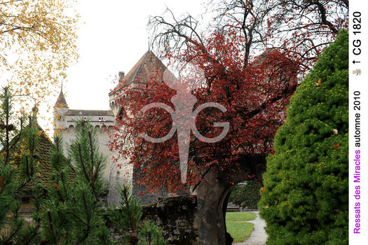 Description de l'image