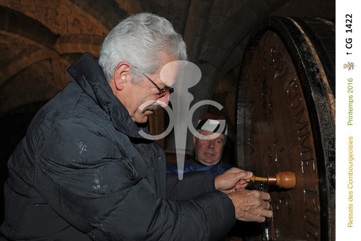 Description de l'image