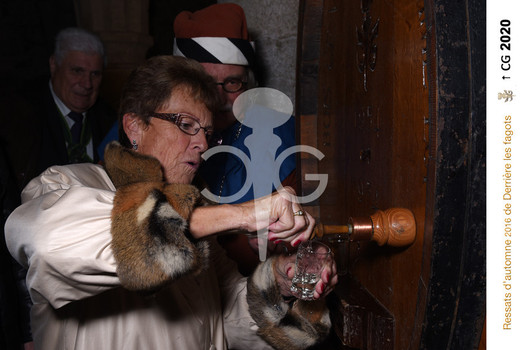 Description de l'image