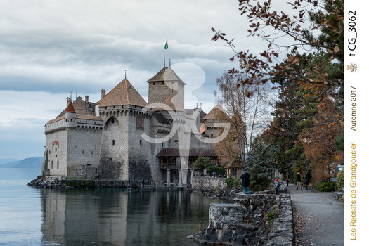 Description de l'image