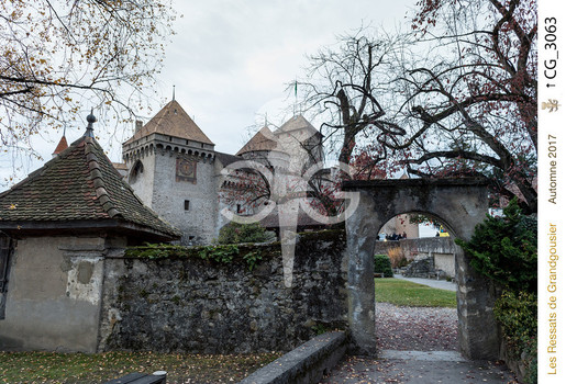 Description de l'image