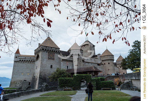 Description de l'image