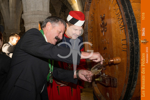 Description de l'image