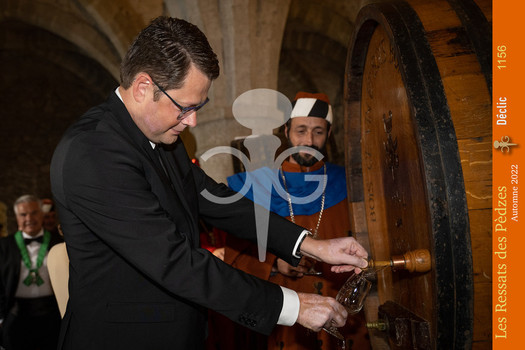 Description de l'image