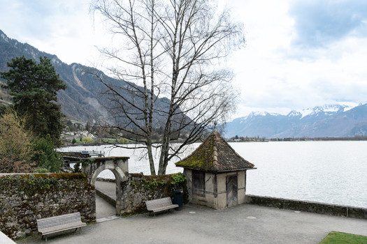 Description de l'image
