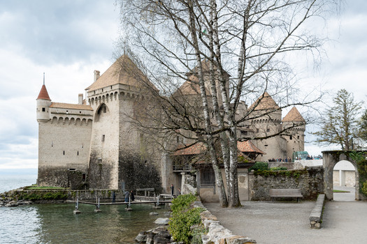 Description de l'image